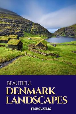 Book cover for Beautiful Denmark Landscapes