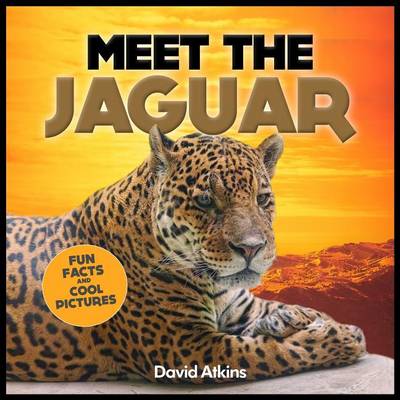 Cover of Meet The Jaguar