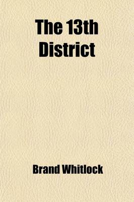 Book cover for The 13th District; A Story of a Candidate