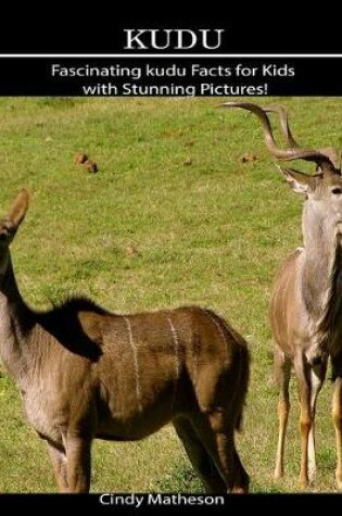 Cover of kudu