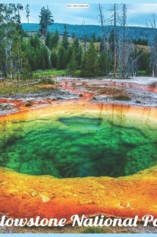 Cover of Yellowstone National Park 2021 Wall Calendar