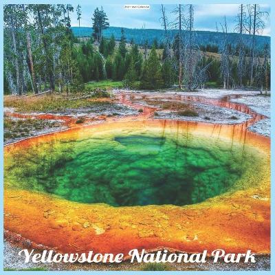 Book cover for Yellowstone National Park 2021 Wall Calendar