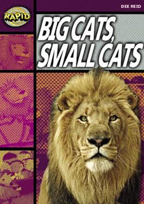 Book cover for Rapid Stage 1 Set A Reader Pack: Big Cats Small Cats (Series 1)