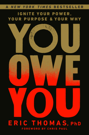 Cover of You Owe You