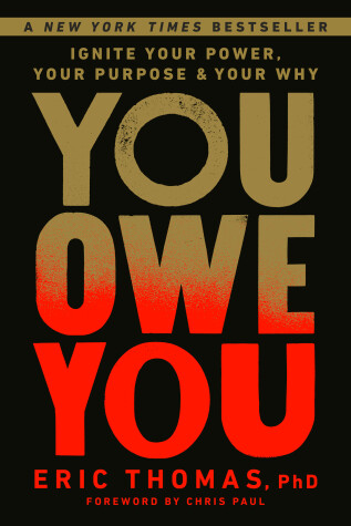 Book cover for You Owe You