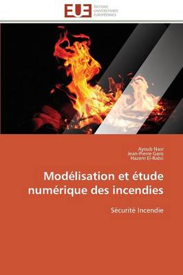 Cover of Mod lisation Et  tude Num rique Des Incendies