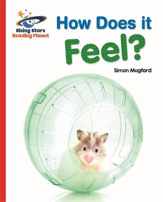 Book cover for Reading Planet - How Does it Feel? - Red A: Galaxy