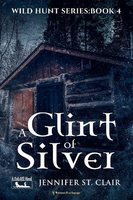 Book cover for A Glint of Silver