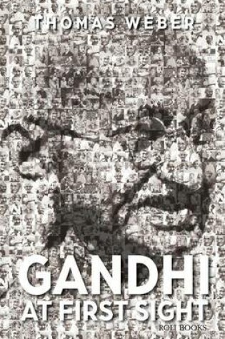 Cover of Gandhi at First Sight