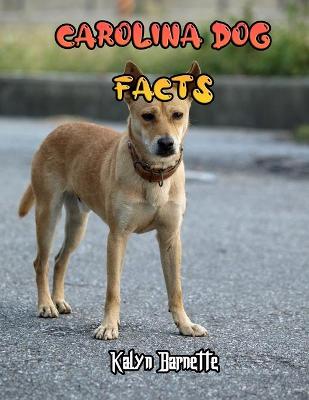 Book cover for Carolina Dog Facts