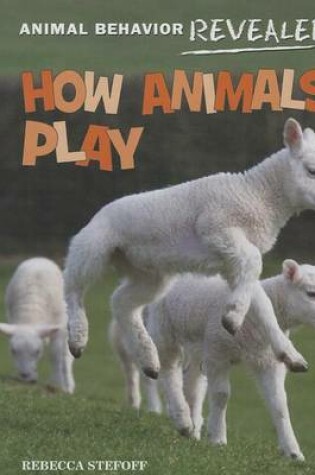 Cover of How Animals Play