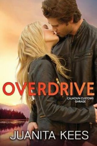 Cover of Overdrive