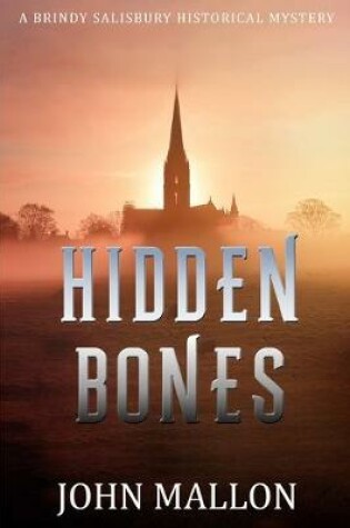 Cover of Hidden Bones