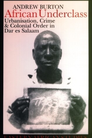 Cover of African Underclass