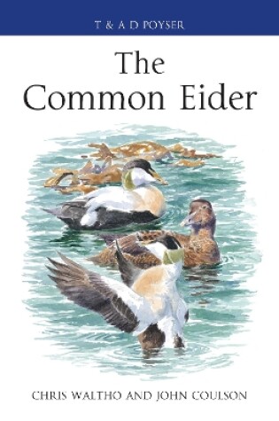 Cover of The Common Eider