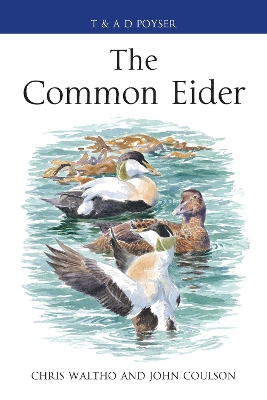 Book cover for The Common Eider