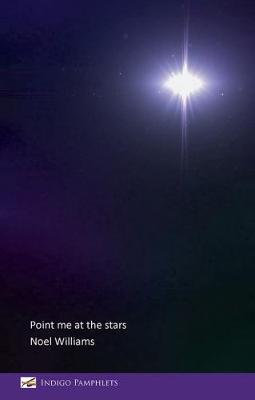 Book cover for Point me at the stars