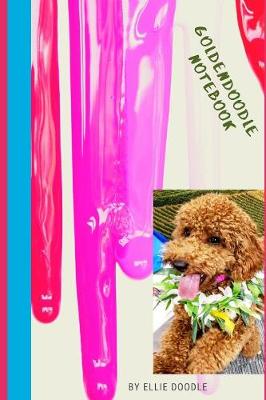 Book cover for Golden Doodle Notebook