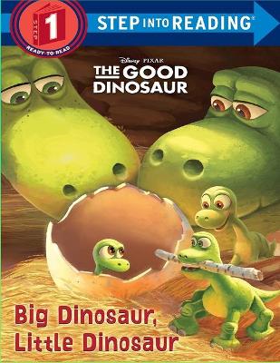 Book cover for Big Dinosaur, Little Dinosaur