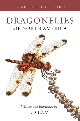 Cover of Dragonflies of North America