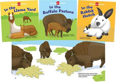 Book cover for Barnyard Buddies Set 2