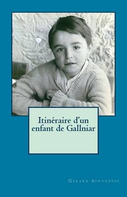 Book cover for Itineraire d'un enfant de Gallniar