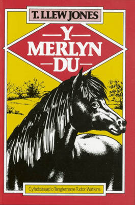 Book cover for Merlyn Du