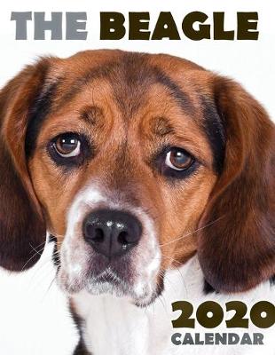 Book cover for The Beagle 2020 Calendar