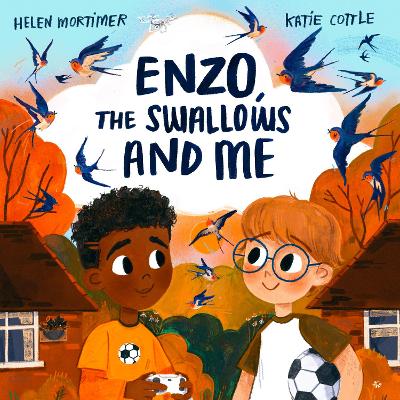 Book cover for Enzo, The Swallows and Me