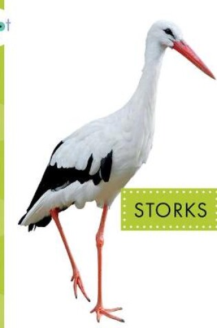 Cover of Storks