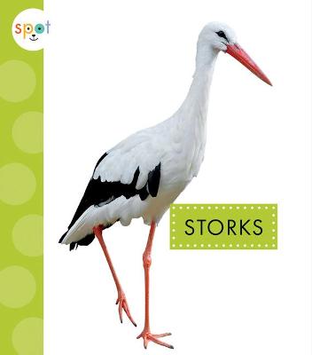 Book cover for Storks