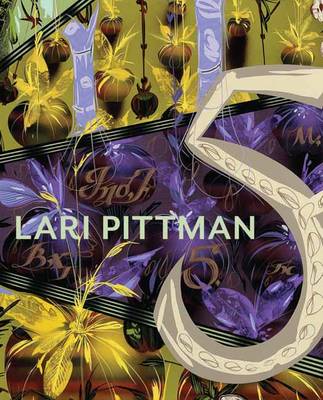 Book cover for Lari Pittman