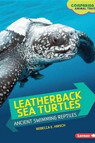 Cover of Leather Back Sea Turtles