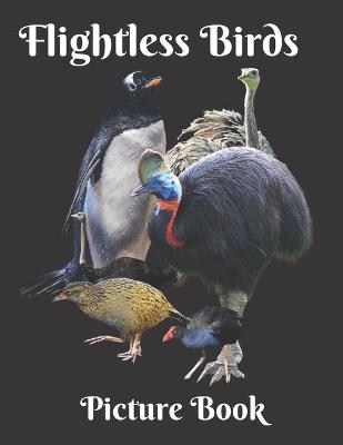 Book cover for Flightless Birds Picture Book