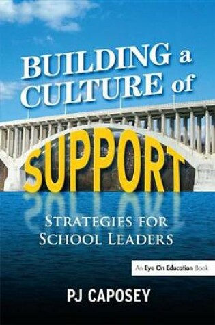 Cover of Building a Culture of Support