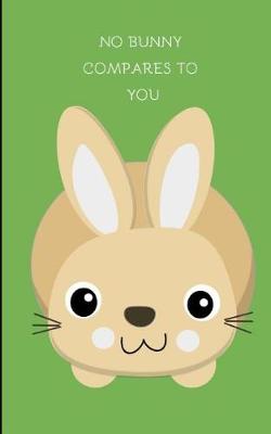 Book cover for No Bunny Compares to You