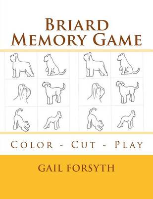 Book cover for Briard Memory Game