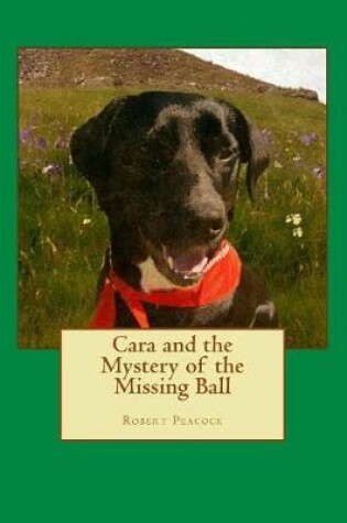 Cover of Cara and the Mystery of the Missing Ball