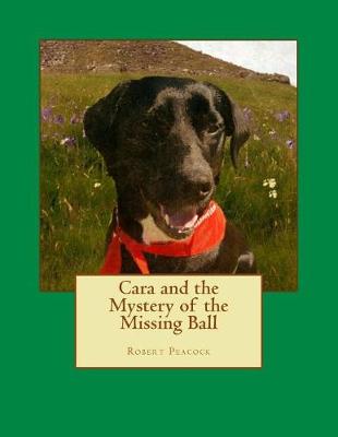 Book cover for Cara and the Mystery of the Missing Ball