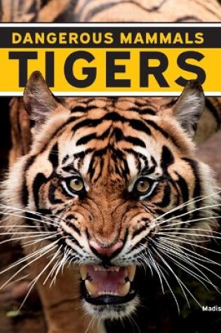 Cover of Tigers