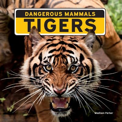 Cover of Tigers