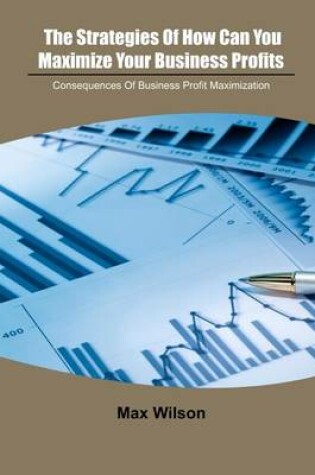 Cover of The Strategies of How Can You Maximize Your Business Profits