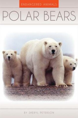 Cover of Polar Bears