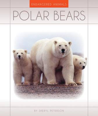 Book cover for Polar Bears