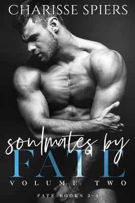 Book cover for Soulmates by Fate Volume Two