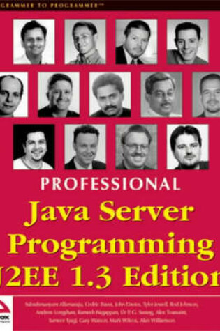 Cover of Professional Java Server Programming J2EE