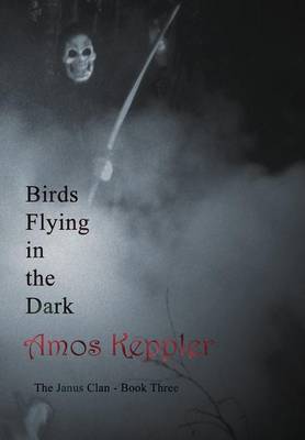 Book cover for Birds Flying in the Dark