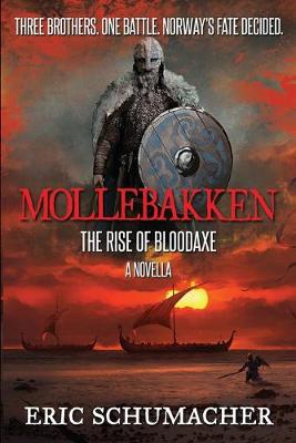 Book cover for Mollebakken