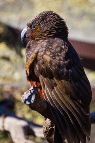 Cover of New Zealand Kaka Nestor Meridionalis Bird Journal