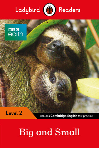 Book cover for BBC Earth: Big and Small - Ladybird Readers Level 2